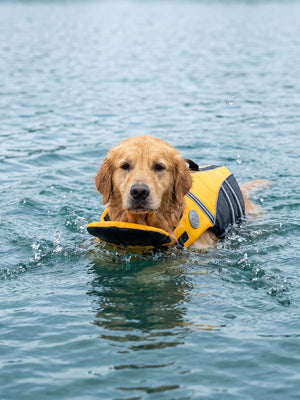 AquaGuardPro Dog Life Jacket