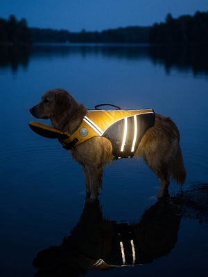 AquaGuardPro Dog Life Jacket