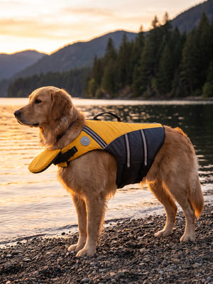 AquaGuardPro Dog Life Jacket